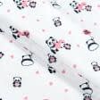 Ткани для сорочек и пижам - Ситец 67-ТКЧ Панды