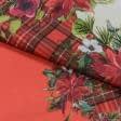 Ткани для римских штор - Декоративная новогодняя ткань лонета Пуансетия купон красный