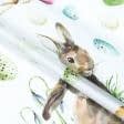 Ткани все ткани - Декоративная ткань пасхальные кролики фон белый