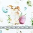 Ткани для декора - Декоративная ткань пасхальные кролики фон белый