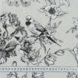 Ткани для римских штор - Декоративная ткань лонета Птичий рай св.фисташка