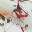 Ткани гардинные ткани - Тюль органза выжиг Колибри цветные