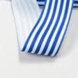 Ткани для одежды - Репсовая лента Тера полоса средняя белая, синяя 37мм
